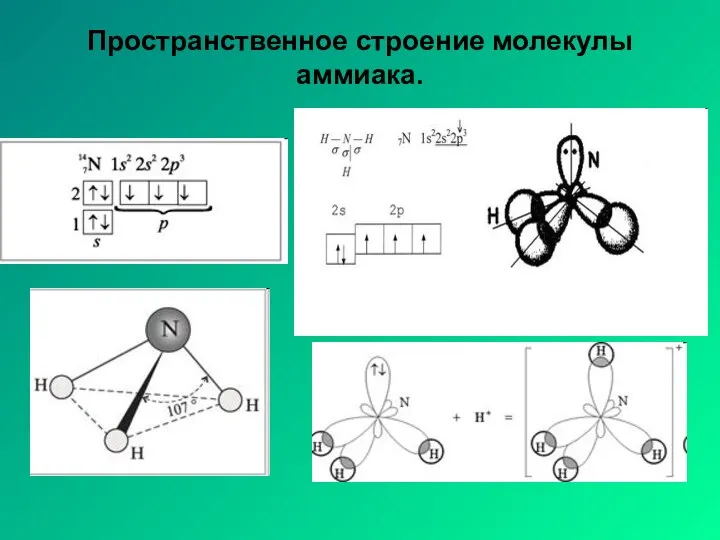 Пространственное строение молекулы аммиака.