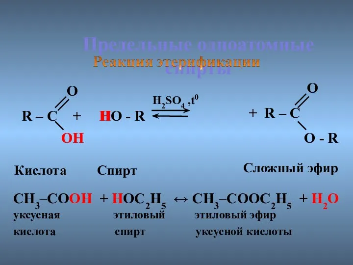Предельные одноатомные cпирты R – C + HO - R H2SO4