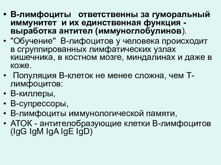 В-лимфоциты ответственны за гуморальный иммунитет и их единственная функция - выработка