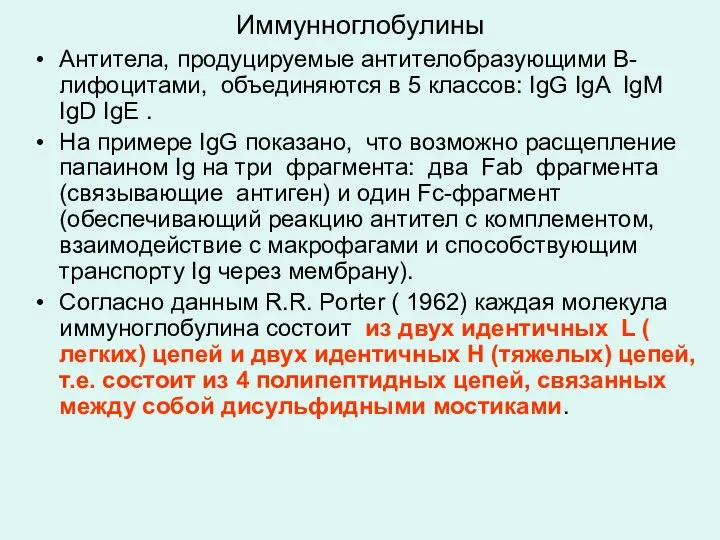 Иммунноглобулины Антитела, продуцируемые антителобразующими В-лифоцитами, объединяются в 5 классов: IgG IgA