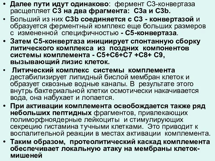 Далее пути идут одинаково: фермент С3-конвертаза расщепляет С3 на два фрагмента: