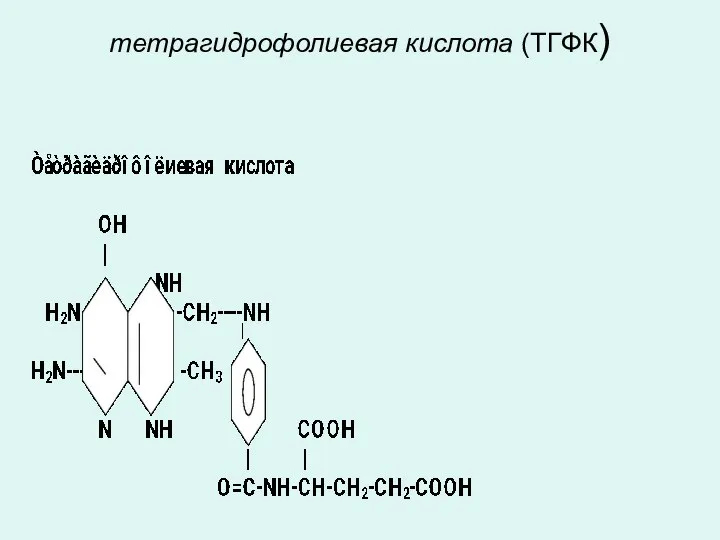 тетрагидрофолиевая кислота (ТГФК)