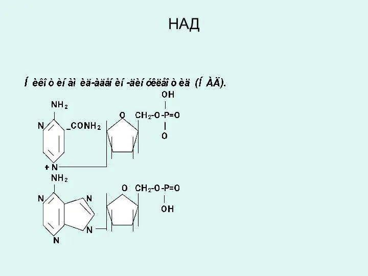 НАД