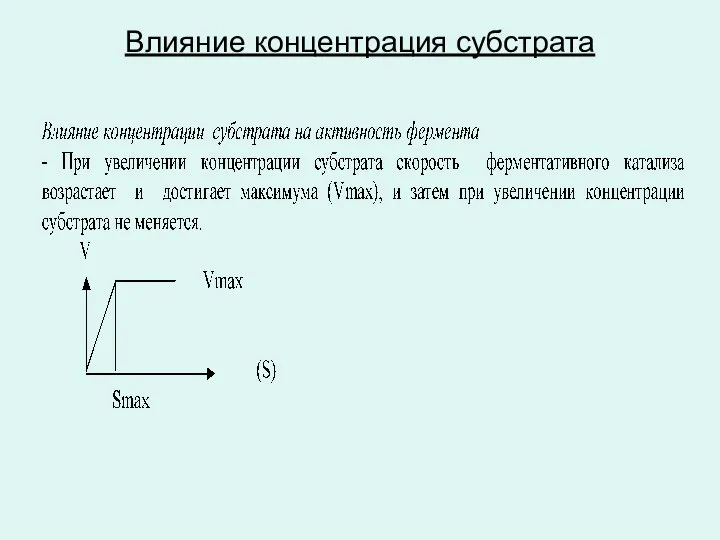 Влияние концентрация субстрата