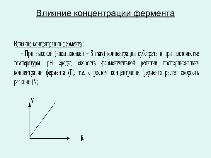 Влияние концентрации фермента