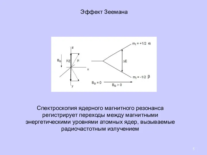 Спектроскопия ядерного магнитного резонанса регистрирует переходы между магнитными энергетическими уровнями атомных