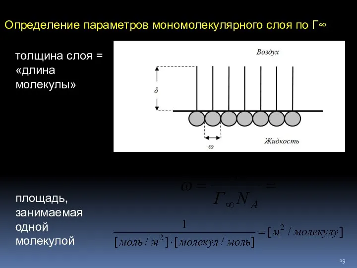 Определение параметров мономолекулярного слоя по Г∞ толщина слоя = «длина молекулы» площадь, занимаемая одной молекулой