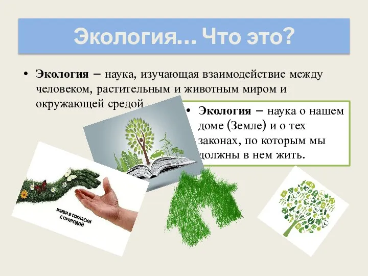 Экология… Что это? Экология – наука, изучающая взаимодействие между человеком, растительным