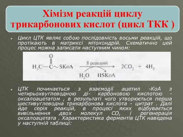 Цикл ЦТК являє собою послідовність восьми реакцій, що протікають в матриксі