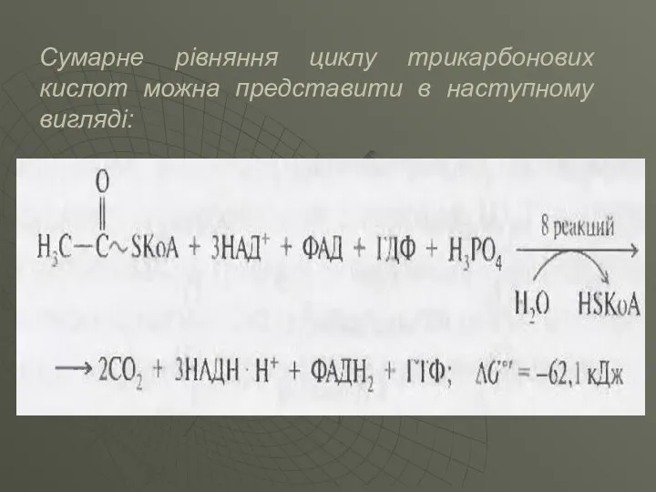 Сумарне рівняння циклу трикарбонових кислот можна представити в наступному вигляді: