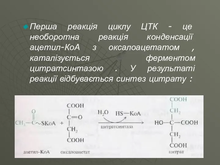 Перша реакція циклу ЦТК - це необоротна реакція конденсації ацетил-КоА з