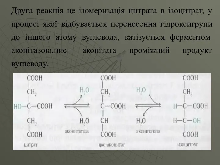 Друга реакція це ізомеризація цитрата в ізоцитрат, у процесі якої відбувається