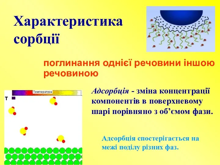 Характеристика сорбції поглинання однієї речовини іншою речовиною Адсорбція - зміна концентрації