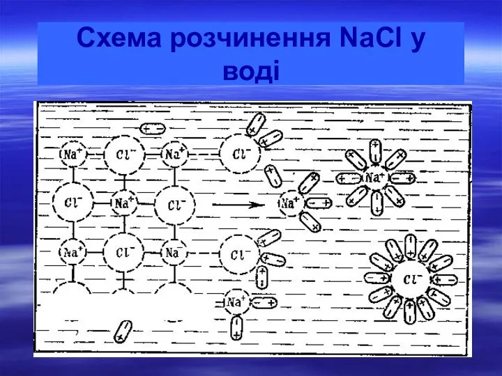 Схема розчинення NaCl у воді Cl- Cl- Na+