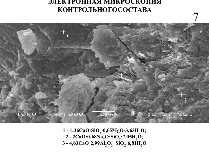 ЭЛЕКТРОННАЯ МИКРОСКОПИЯ КОНТРОЛЬНОГОСОСТАВА 7 1 - 1,36CaO·SiO2·0,65MgO·3,63H2O; 2 - 2CaO·0,68Na2O·SiO2·7,05H2O; 3 - 4,63CaO·2,99Al2O3· SiO2·6,81H2O