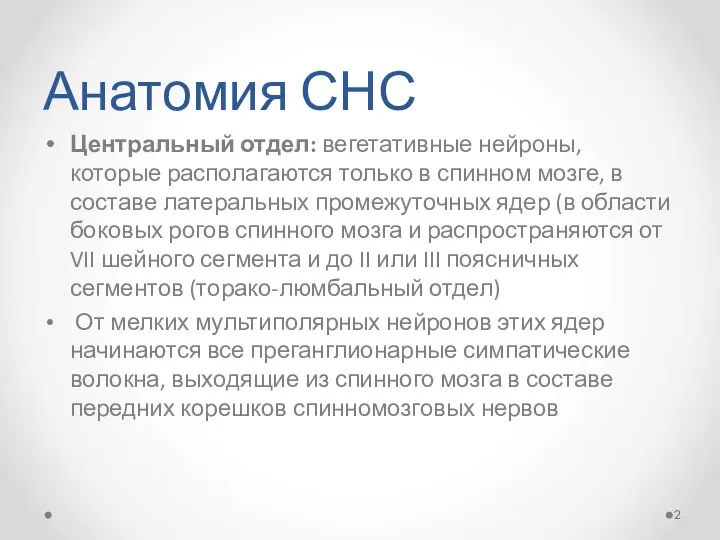 Анатомия СНС Центральный отдел: вегетативные нейроны, которые располагаются только в спинном