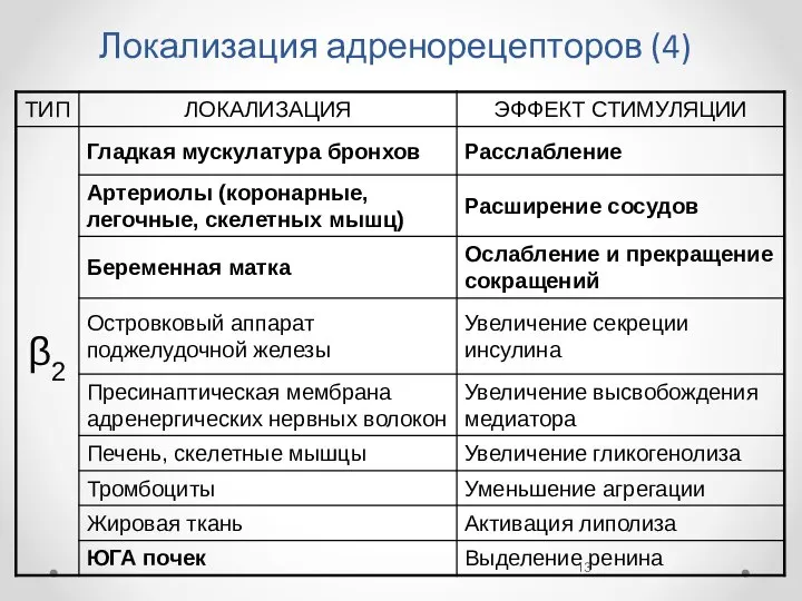 Локализация адренорецепторов (4)