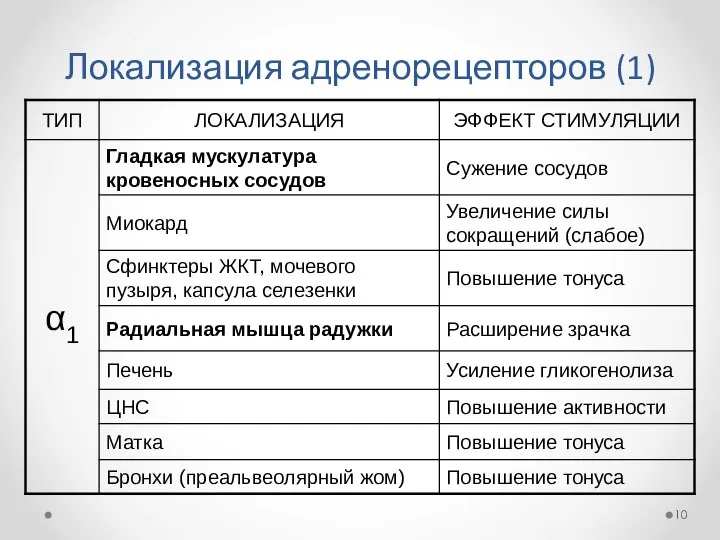 Локализация адренорецепторов (1)