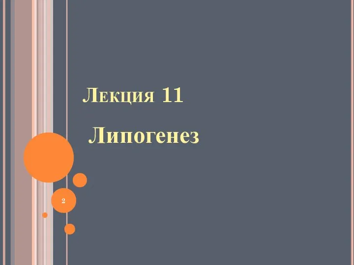 Лекция 11 Липогенез