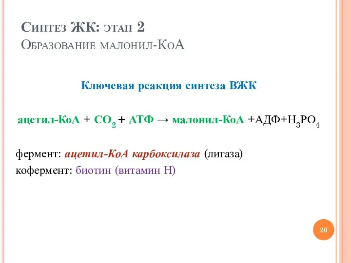 Синтез ЖК: этап 2 Образование малонил-КоА Ключевая реакция синтеза ВЖК ацетил-КоА