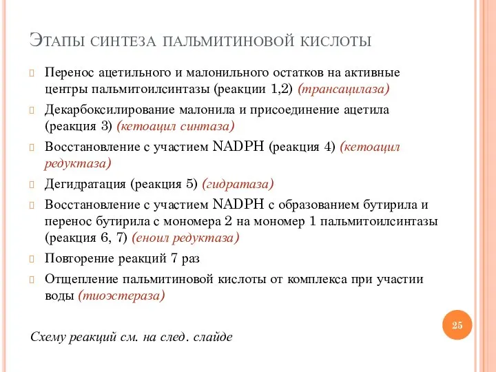 Этапы синтеза пальмитиновой кислоты Перенос ацетильного и малонильного остатков на активные