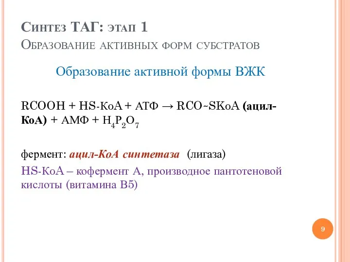 Синтез ТАГ: этап 1 Образование активных форм субстратов Образование активной формы