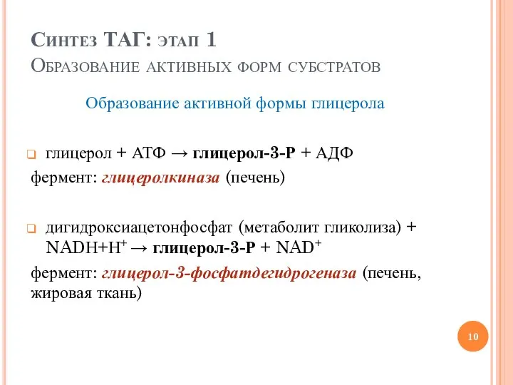 Синтез ТАГ: этап 1 Образование активных форм субстратов Образование активной формы