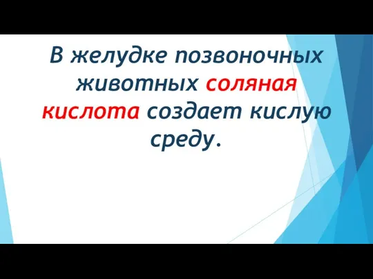 В желудке позвоночных животных соляная кислота создает кислую среду.