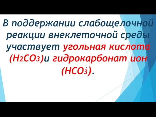 В поддержании слабощелочной реакции внеклеточной среды участвует угольная кислота (Н2СО3)и гидрокарбонат ион (НСО3). -