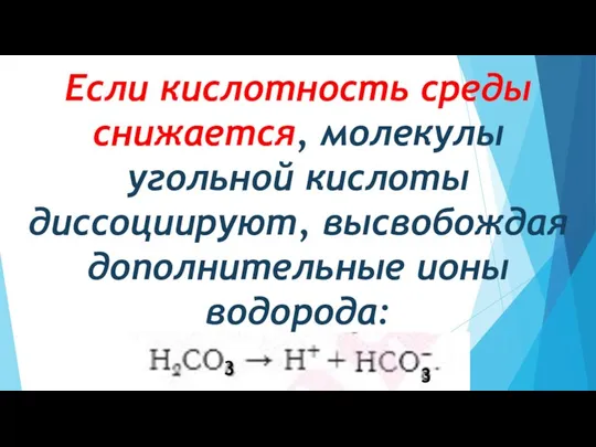 Если кислотность среды снижается, молекулы угольной кислоты диссоциируют, высвобождая дополнительные ионы водорода: 3 3