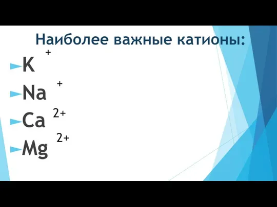 Наиболее важные катионы: K Na Ca Mg + + 2+ 2+