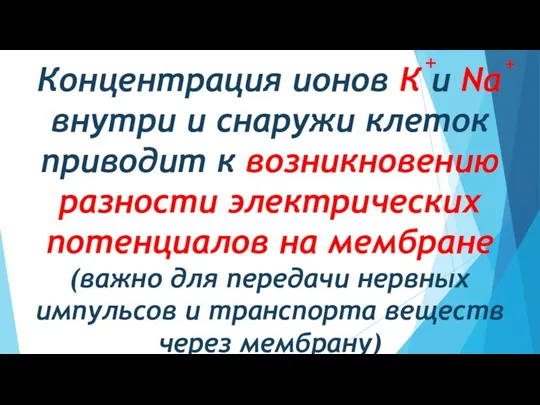 Концентрация ионов К и Na внутри и снаружи клеток приводит к