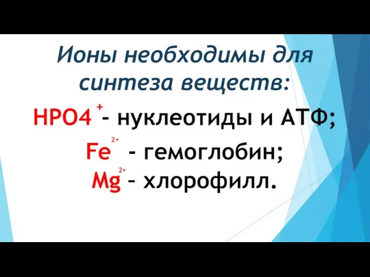 Ионы необходимы для синтеза веществ: HPO4 - нуклеотиды и АТФ; Fe