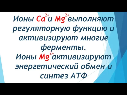 Ионы Са и Mg выполняют регуляторную функцию и активизируют многие ферменты.