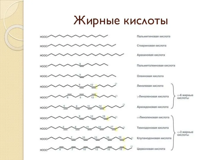 Жирные кислоты