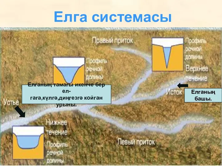 Елга системасы Елганың тамагы икенче бер ел- гага,күлгә,диңгезгә койган урыны. Елганың башы.