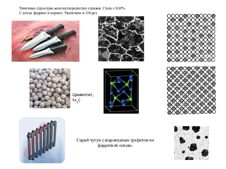Типичные структуры железоуглеродистых сплавов. Сталь с 0,65% С (сетка феррита и