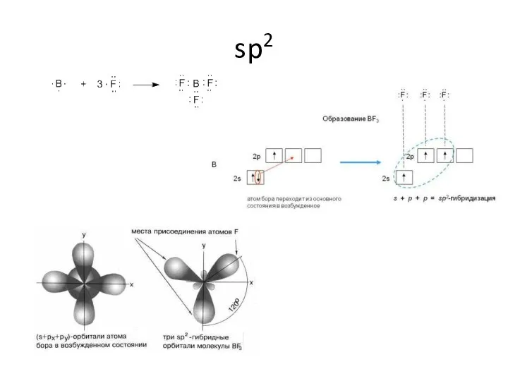 sp2