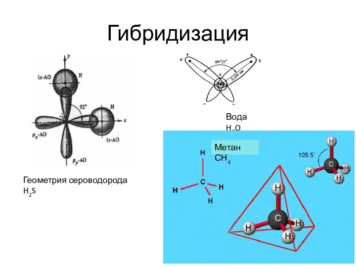 Гибридизация Геометрия сероводорода H2S Вода H2O Метан СН4