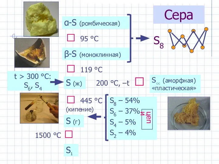 Сера α-S (ромбическая) β-S (моноклинная) ⮃ 95 °С ⮃ 119 °С