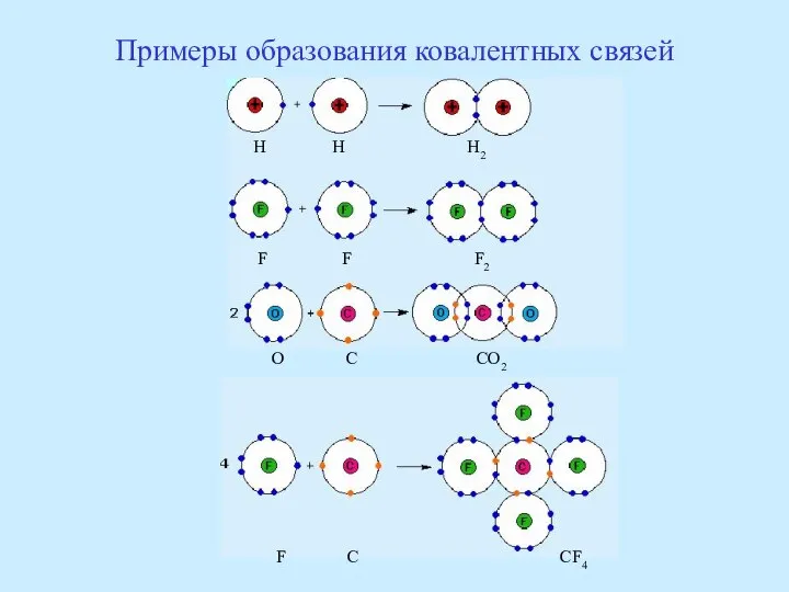 Примеры образования ковалентных связей H H H2 F F F2 O C CO2 F C CF4