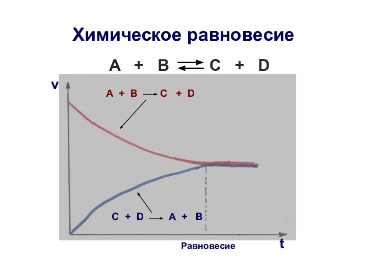 Химическое равновесие A + B C + D А + В