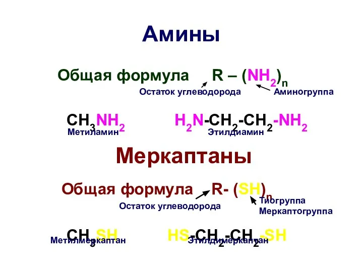 Амины Общая формула R – (NH2)n CH3NH2 H2N-CH2-CH2-NH2 Меркаптаны Общая формула