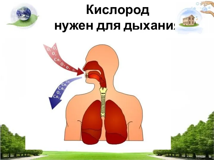 Кислород нужен для дыхания