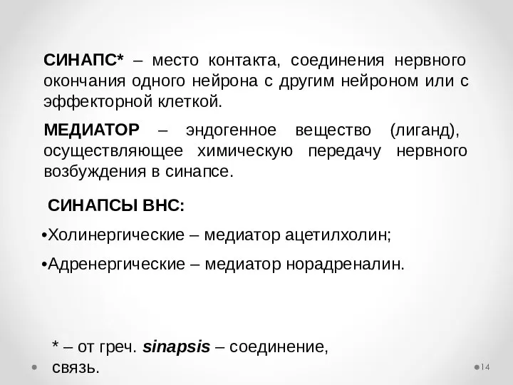 СИНАПС* – место контакта, соединения нервного окончания одного нейрона с другим