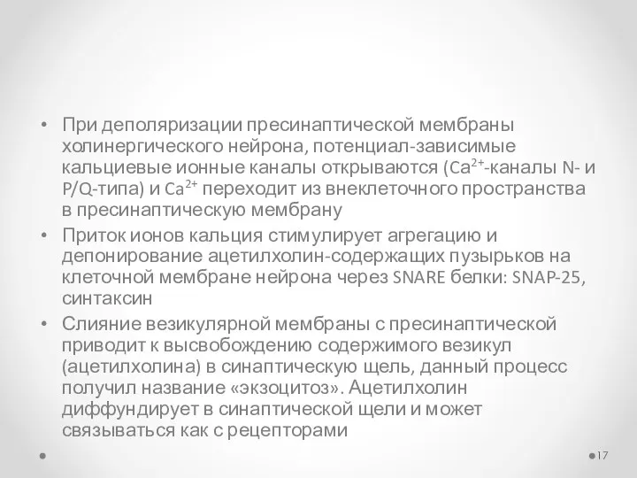 При деполяризации пресинаптической мембраны холинергического нейрона, потенциал-зависимые кальциевые ионные каналы открываются