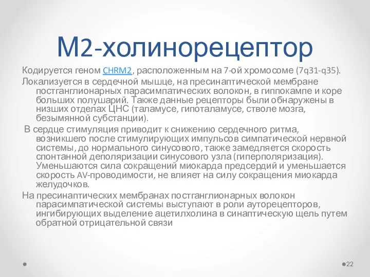 М2-холинорецептор Кодируется геном CHRM2, расположенным на 7-ой хромосоме (7q31-q35). Локализуется в