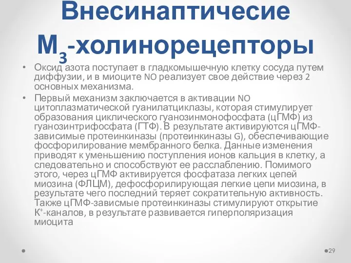 Внесинаптичесие М3-холинорецепторы Оксид азота поступает в гладкомышечную клетку сосуда путем диффузии,