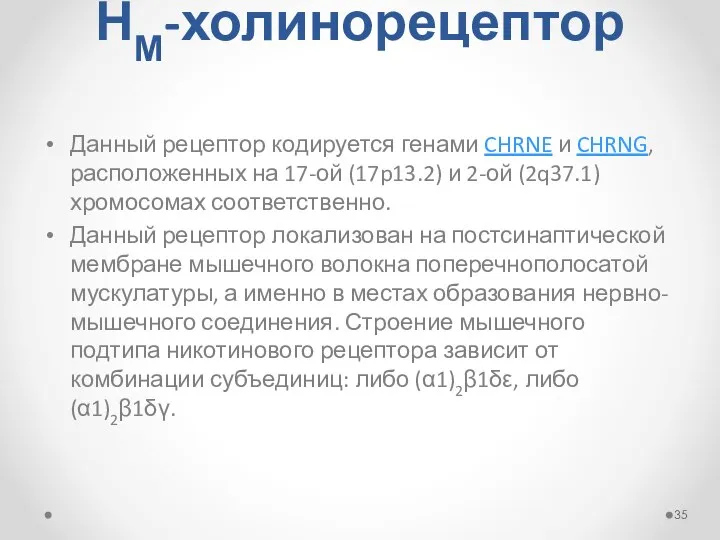 НМ-холинорецептор Данный рецептор кодируется генами CHRNE и CHRNG, расположенных на 17-ой