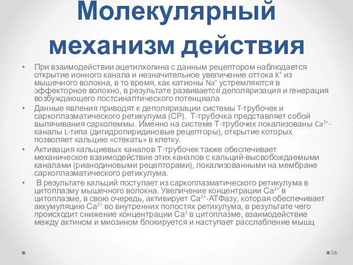 Молекулярный механизм действия При взаимодействии ацетилхолина с данным рецептором наблюдается открытие